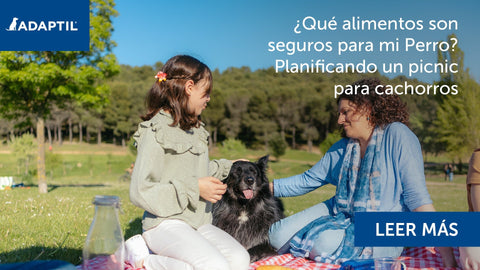 Una familia comiendo un picnic juntos al aire libre sobre una manta, su perro negro está sentado entre ellos siendo acariciado.
