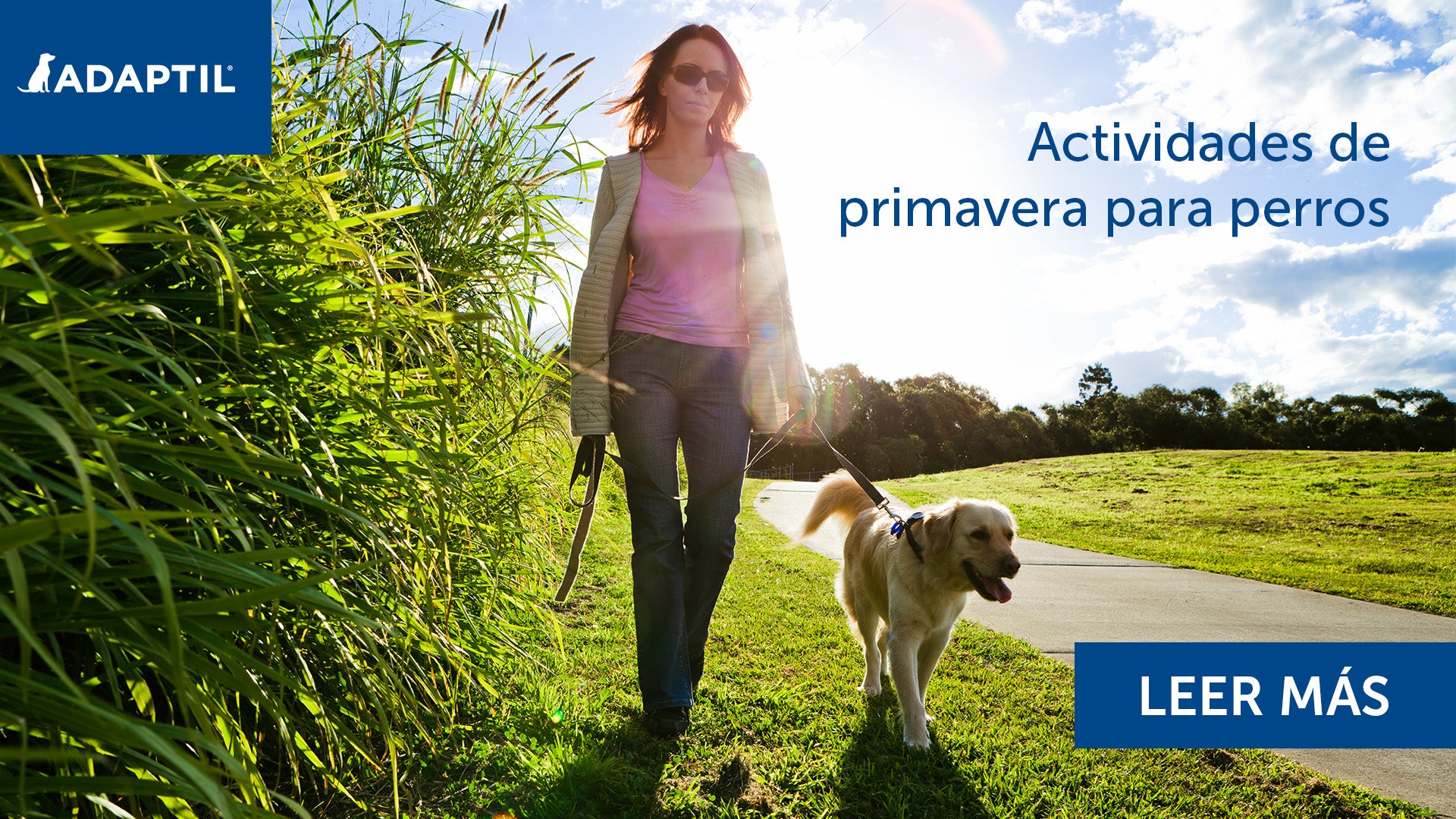 Actividades de primavera para perros