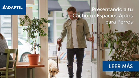 Hombre andando con un perro dentro de una tienda
