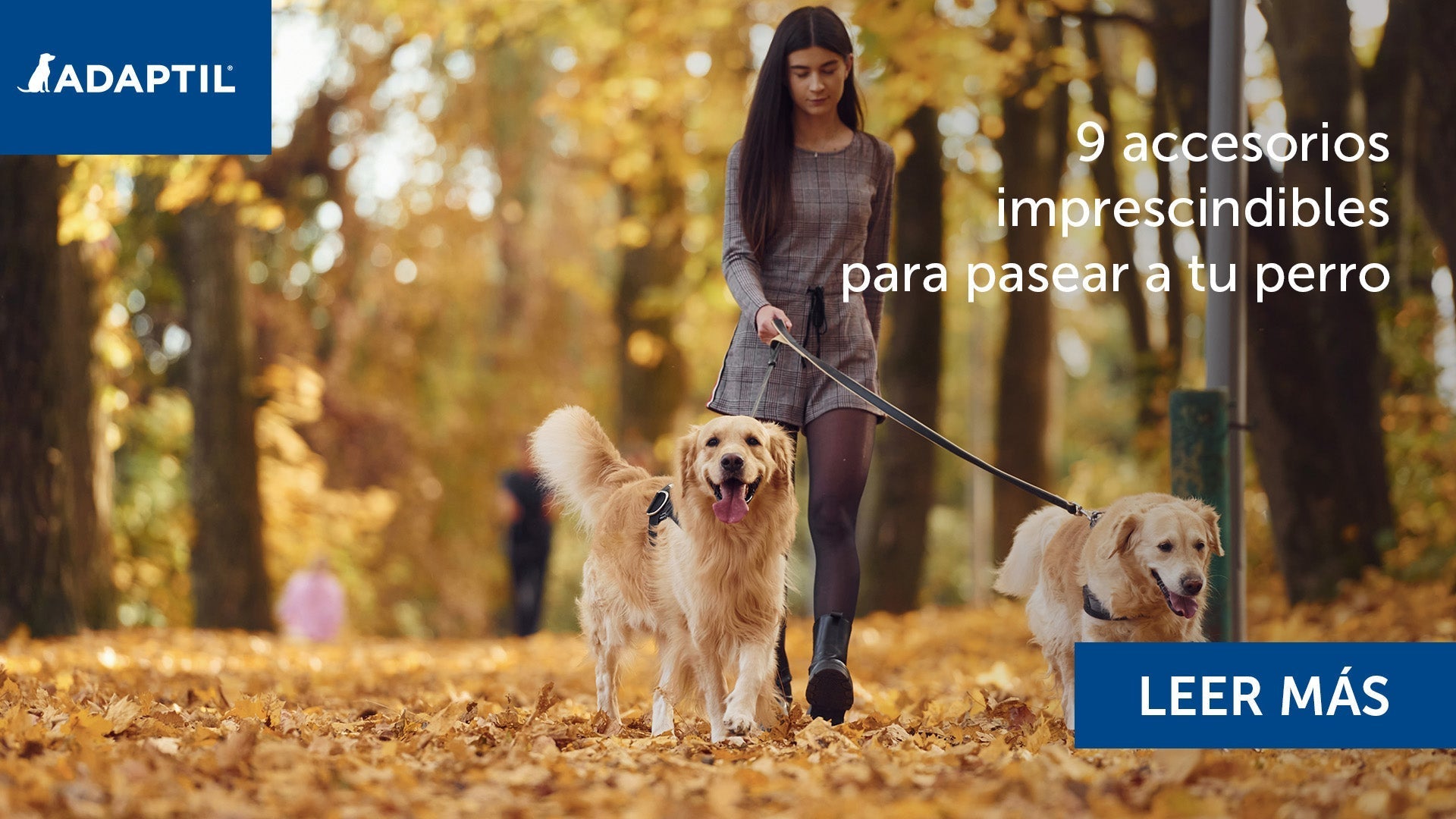 Joven paseando con dos Golden Retrievers por un parque.