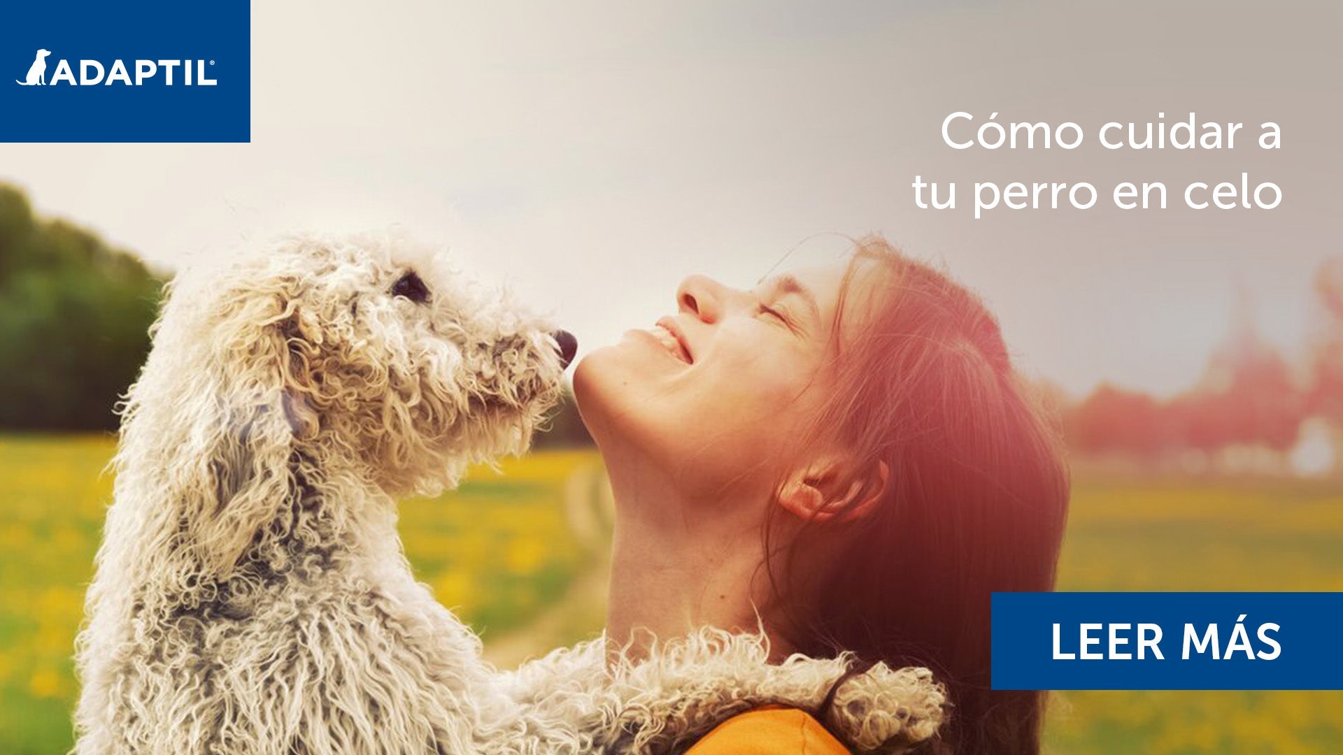 Perro y mujer joven en un campo soleado.
