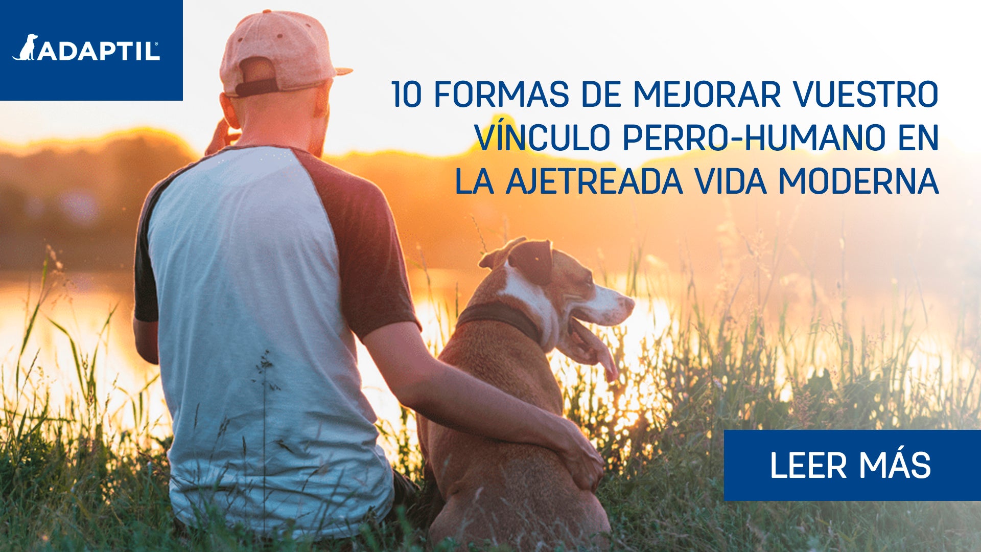 10 formas de mejorar vuestro vínculo perro-humano a pesar de nuestro ritmo de vida