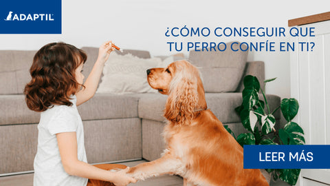 niña jugando con un perro en casa