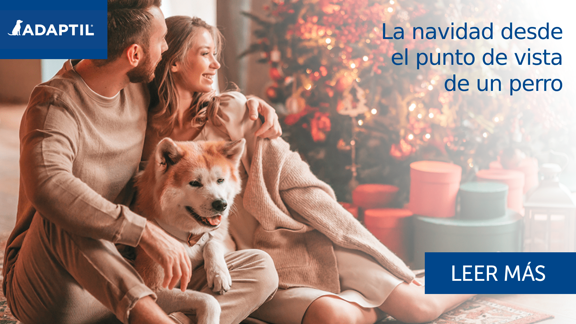 Llega la Navidad – El punto de vista de un perro