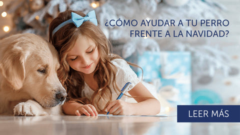 Niña en ambiente navideño con un perro al lado.