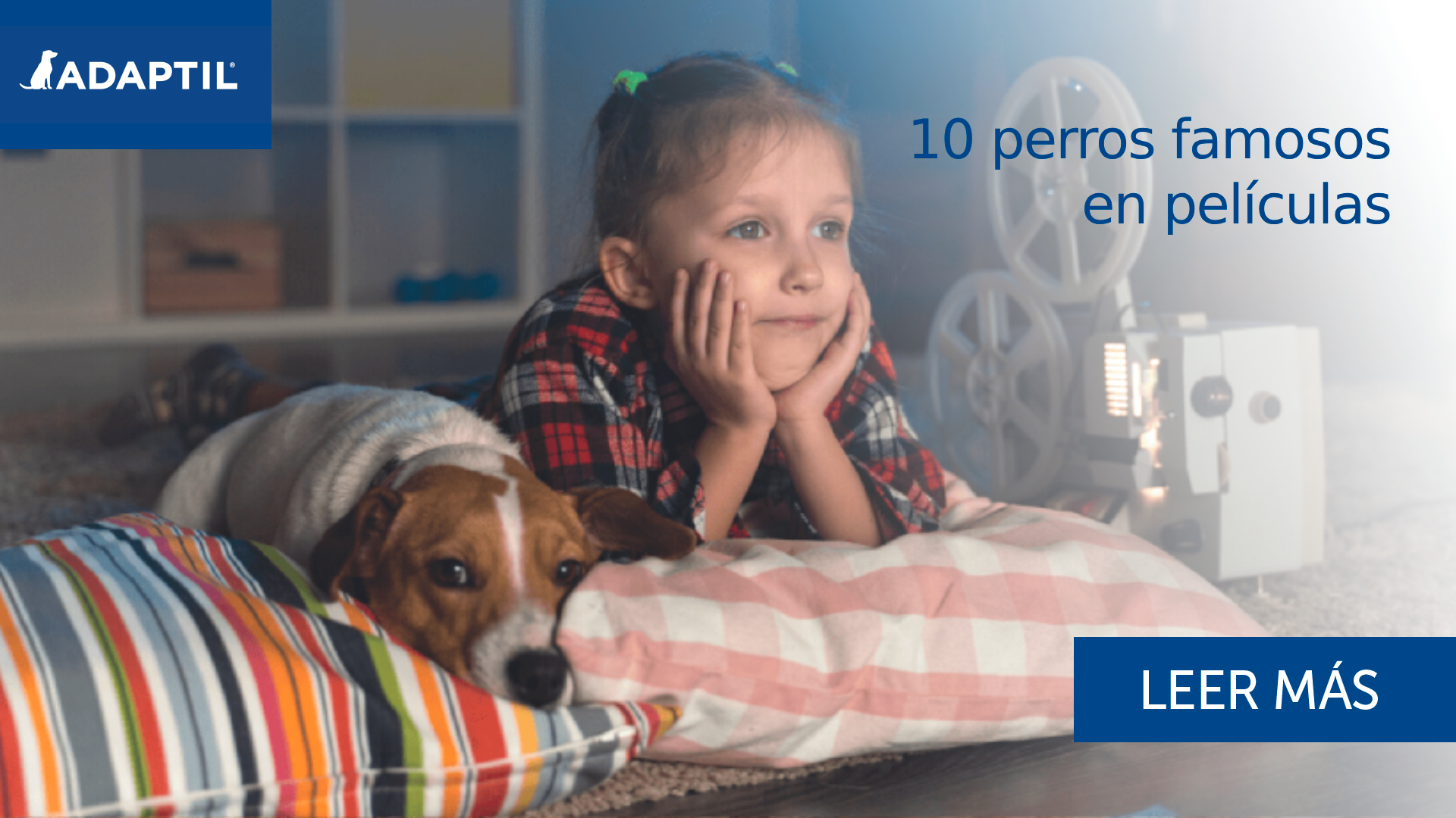 10 perros famosos en películas