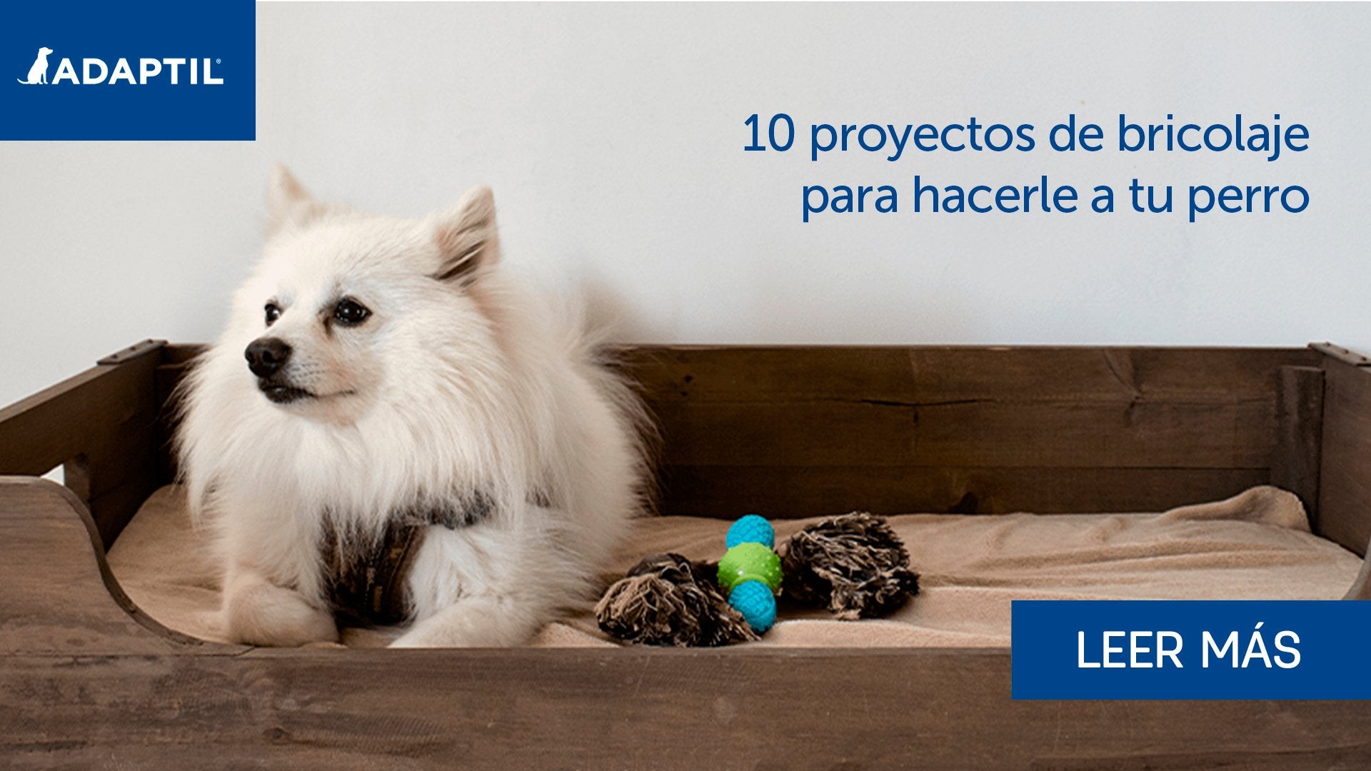 10 proyectos de manualidades que puedes hacer para tu perro