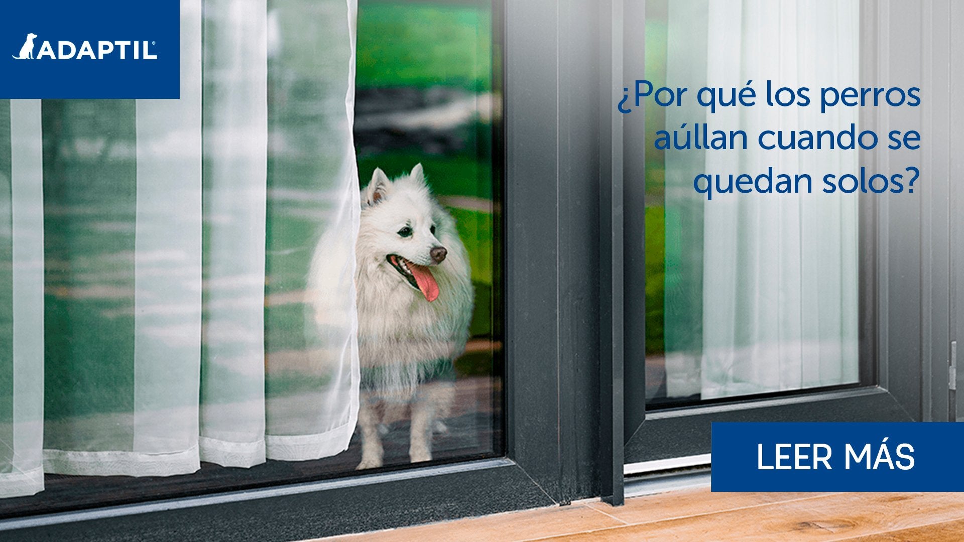 ¿Por qué los perros aúllan cuando se quedan solos?