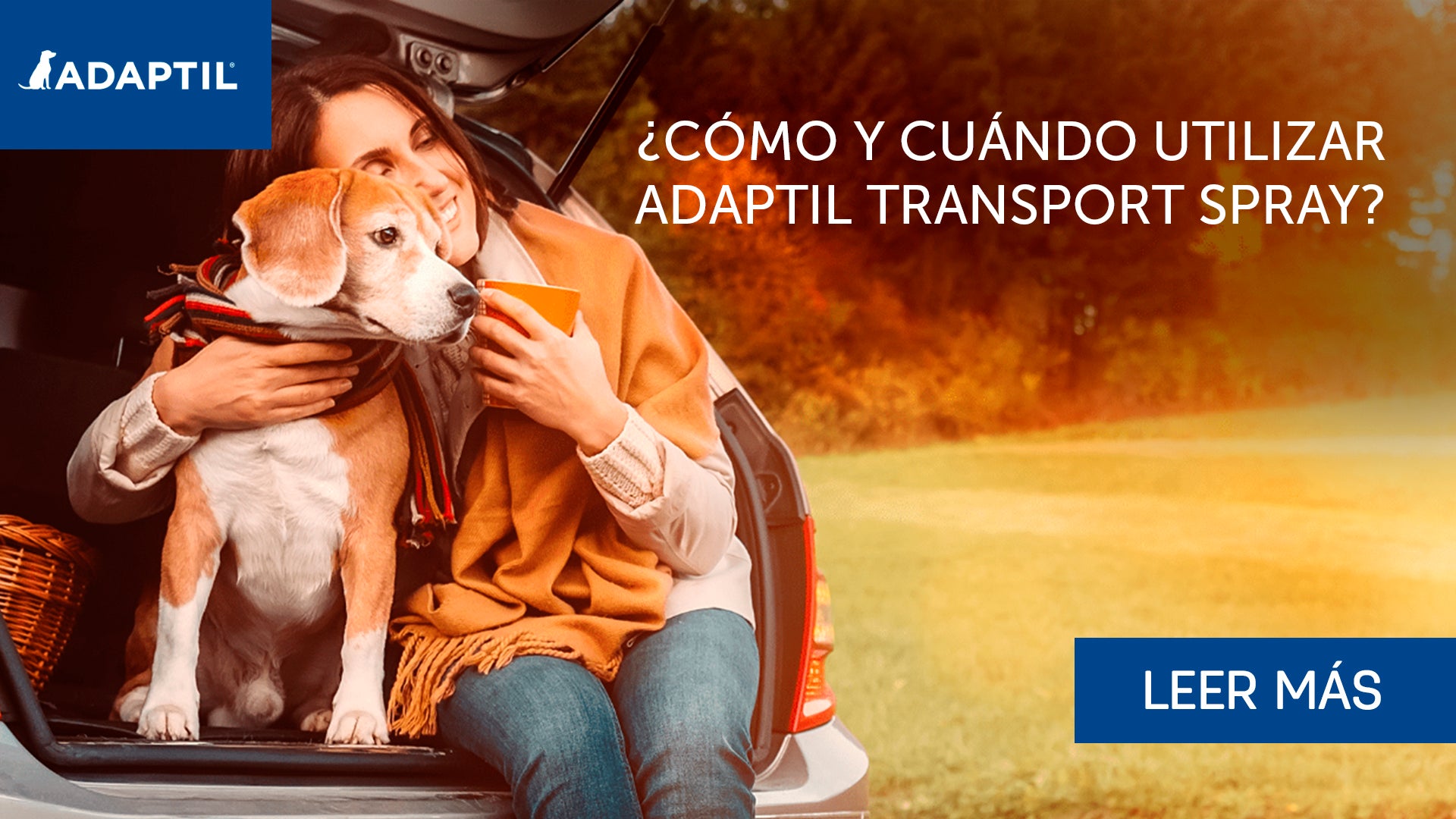 mujer y perros sentados en el maletero del coche