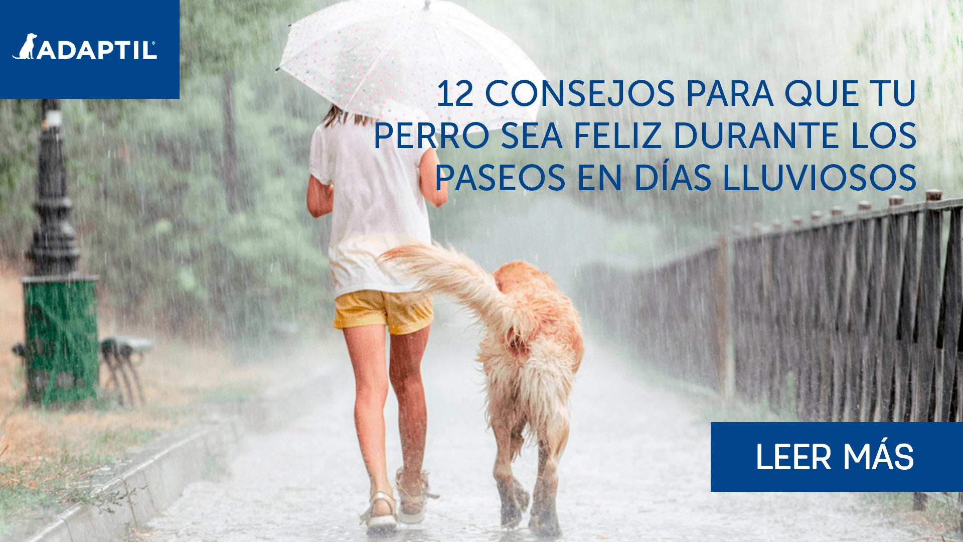 mujer y perro caminando bajo la lluvia y bajo el paraguas