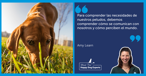 El sentido del tacto de un perro