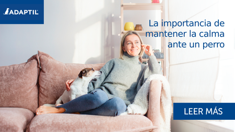 La importancia de mantener la calma ante un perro