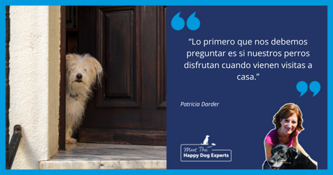 Ayuda a tu perro a gestionar las visitas: Una experta en perros felices te lo explica