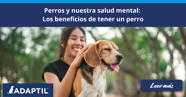 Mujer feliz jugando con su perro en el parque