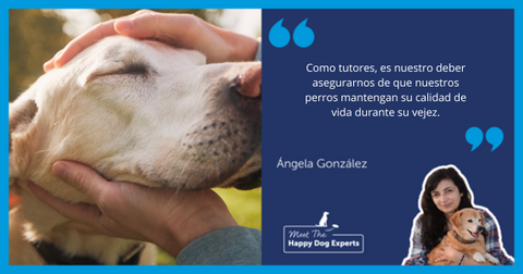 Happy Dog Expert: ¿Puede un perro tener Alzheimer?