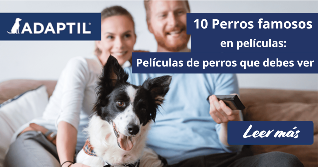 Familia sentada en el sofá con un perro