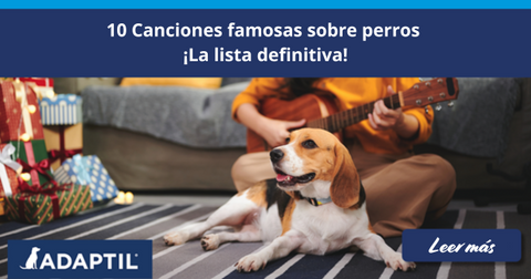 10 Canciones famosas sobre perros