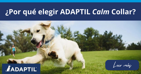 ¿Por qué elegir ADAPTIL Calm Collar?
