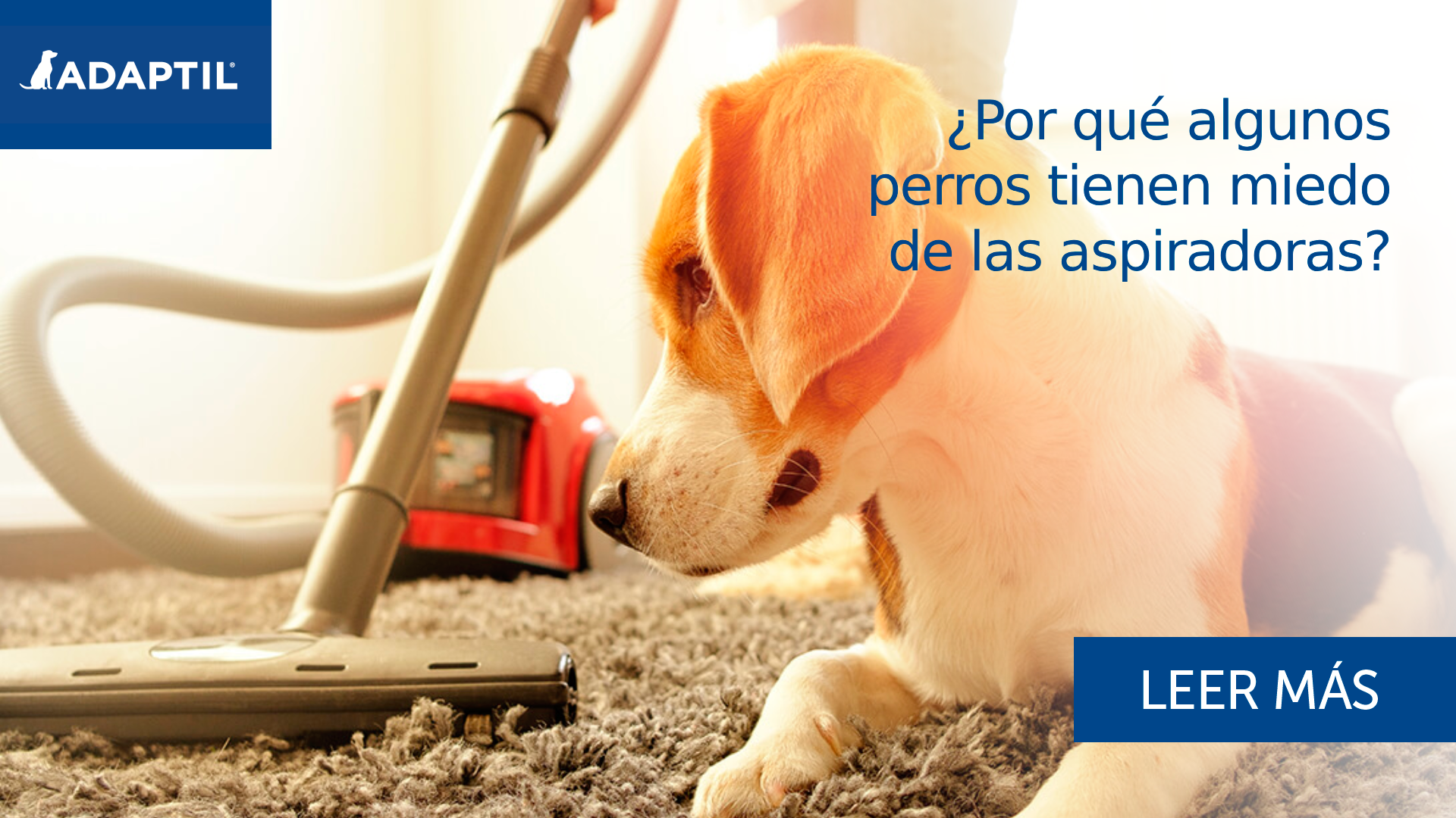 ¿Por qué algunos perros tienen miedo de las aspiradoras?