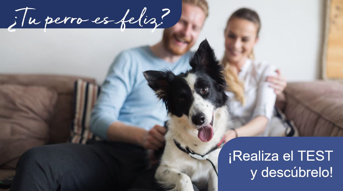 familia sentada en el sofá con el perro mirando a la cámara