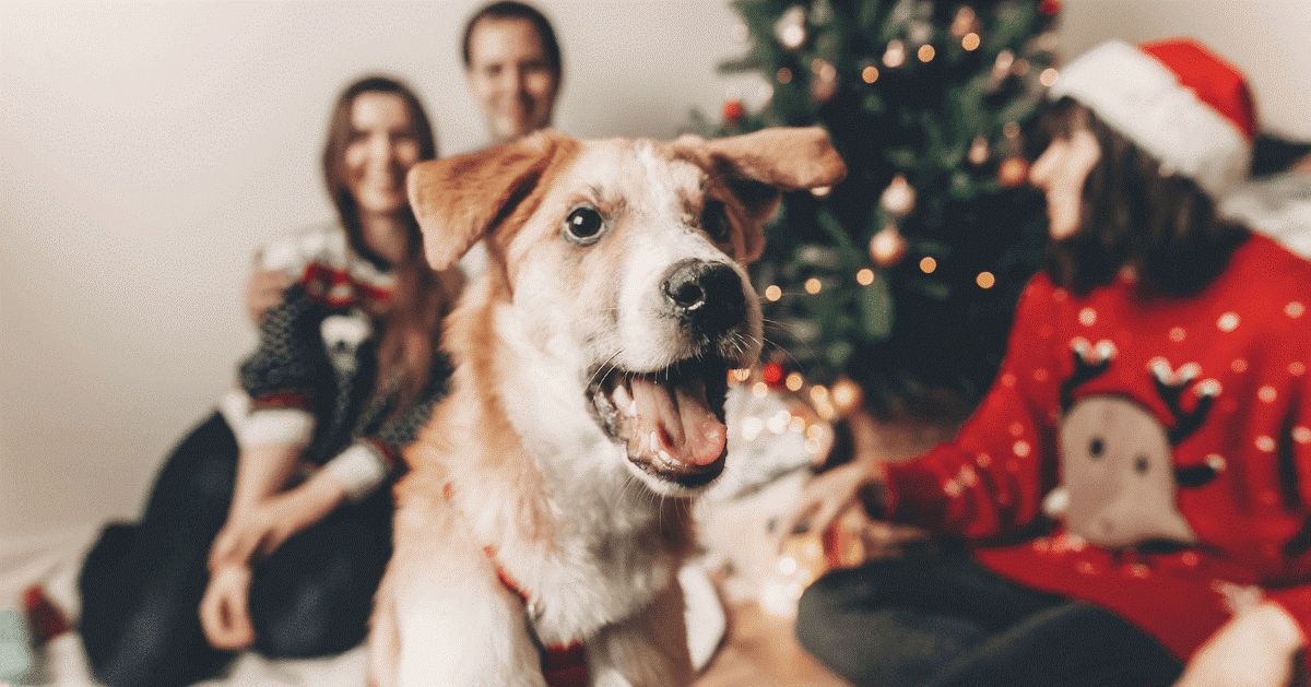 perro con familia y arbol de navidad