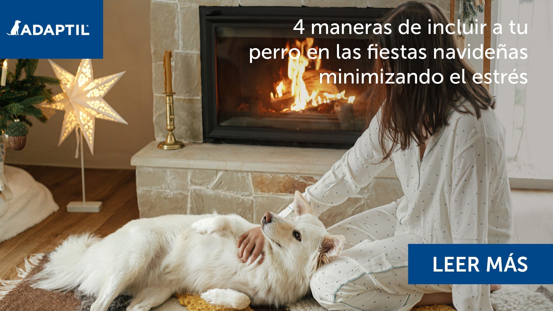 Humano acariciando a un perro en la espalda junto a una chimenea