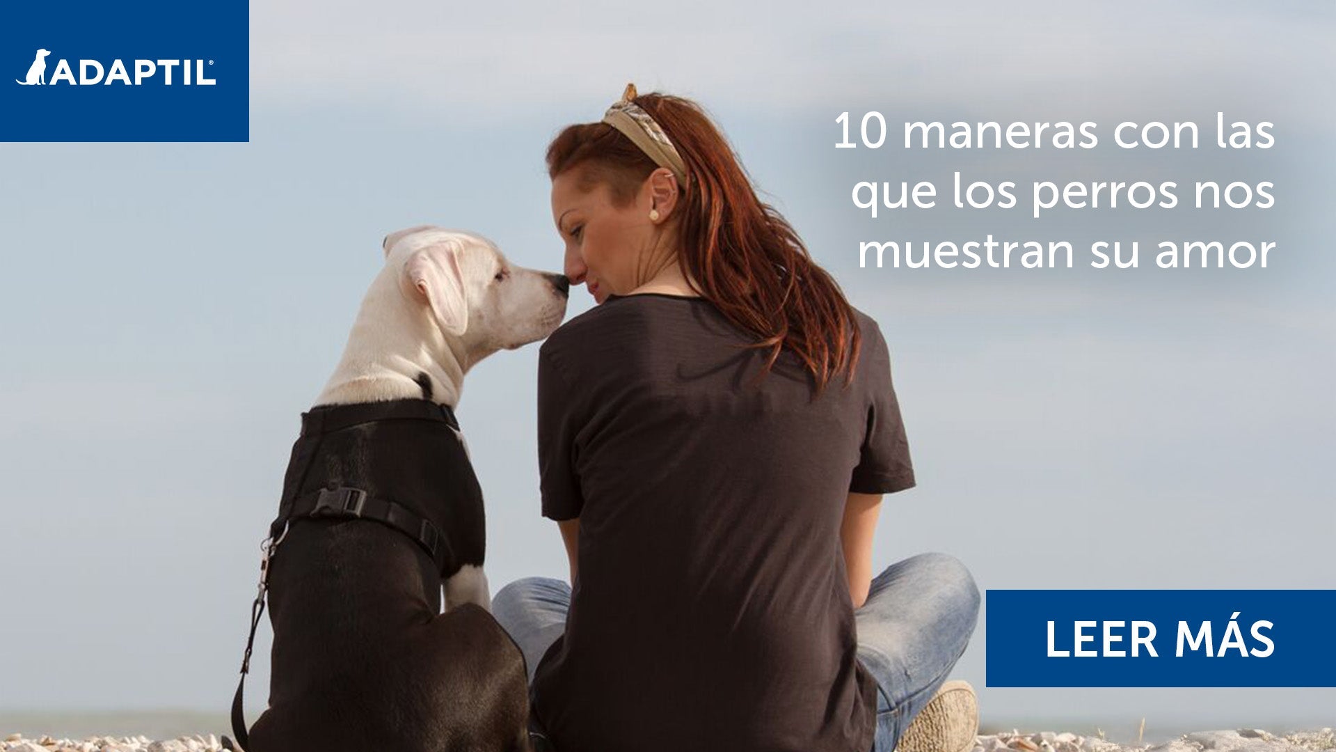 Mujer y perro sentados en la playa con las narices tocándose