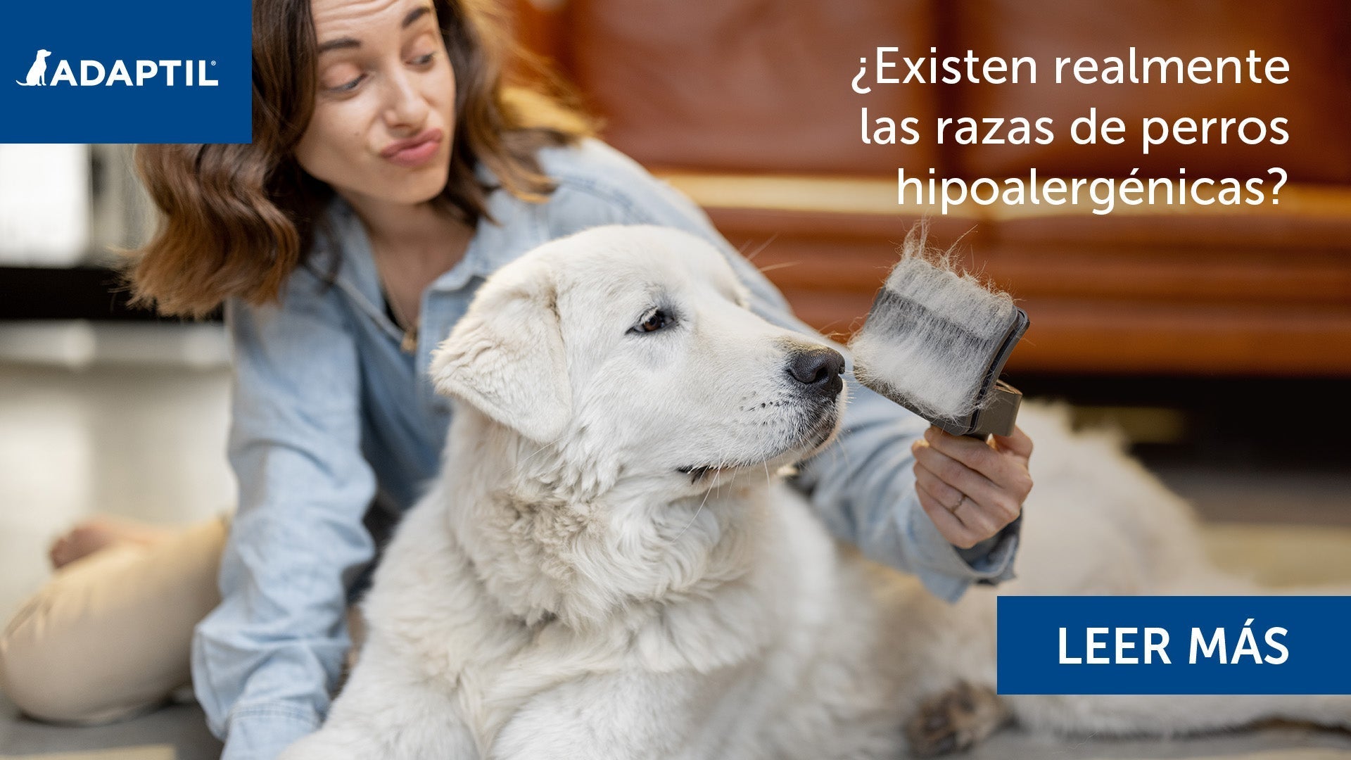 Perro y mujer con cepillo lleno de pelo