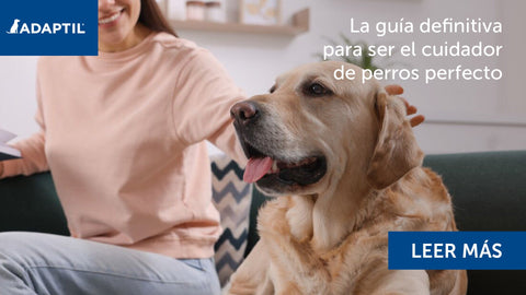 Mujer sentada en el sofá acariciando a un perro que está a su lado con la lengua fuera.