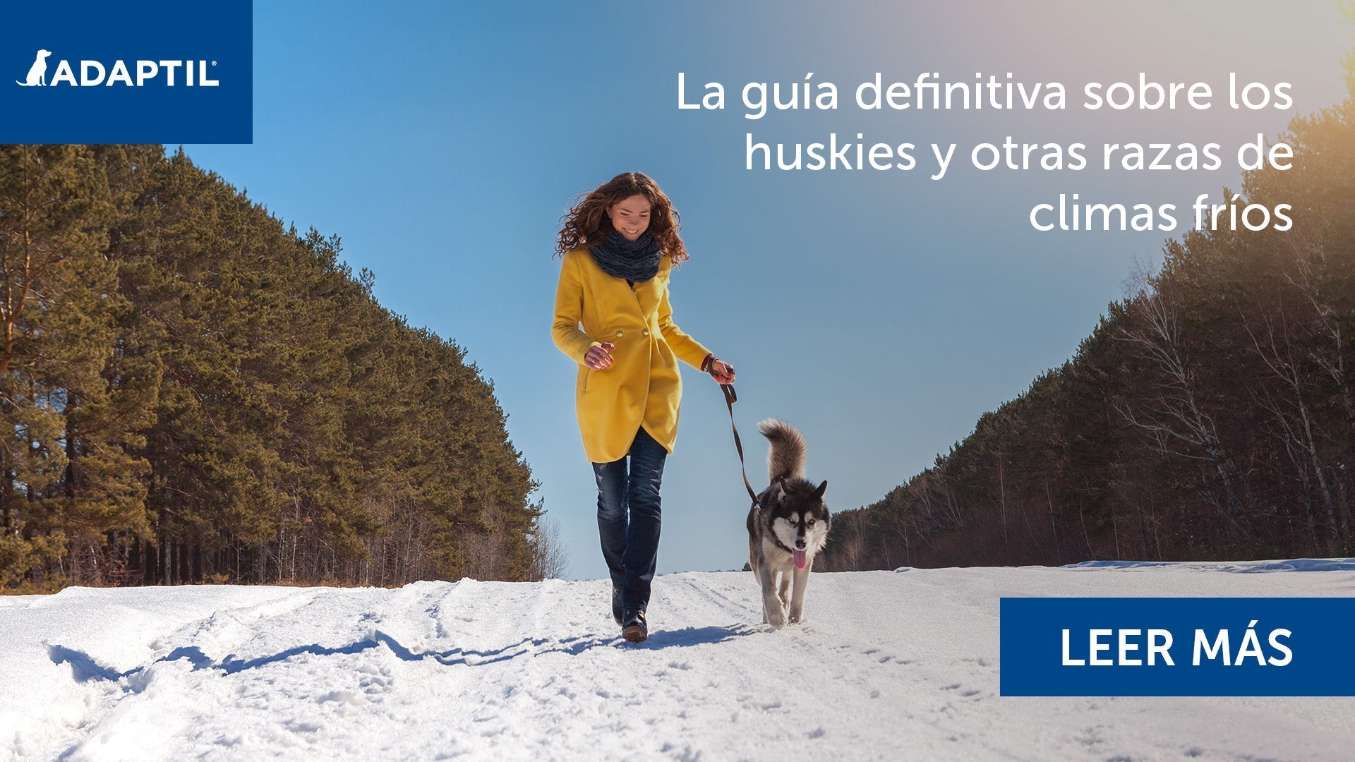 Mujer con chaqueta amarilla paseando un husky en la nieve. 