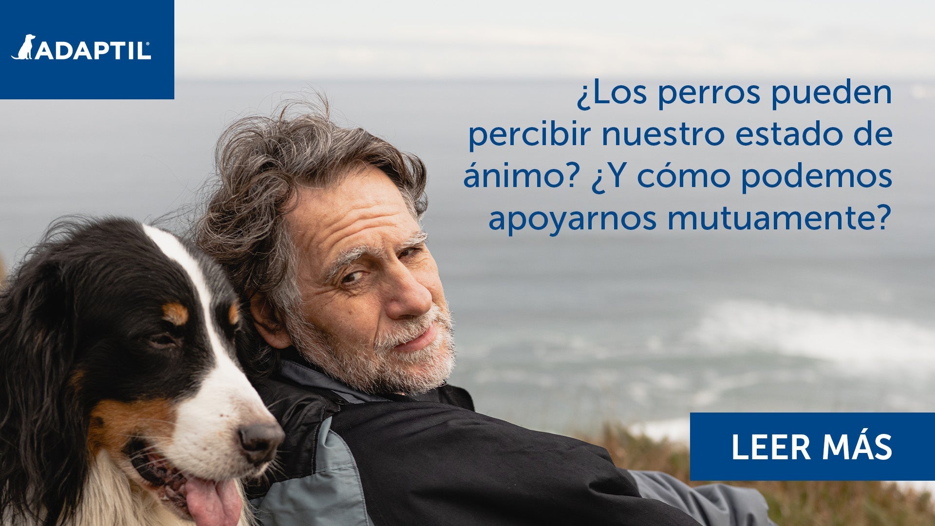 ¿Los perros pueden percibir nuestro estado de ánimo? ¿Y cómo podemos apoyarnos mutuamente?