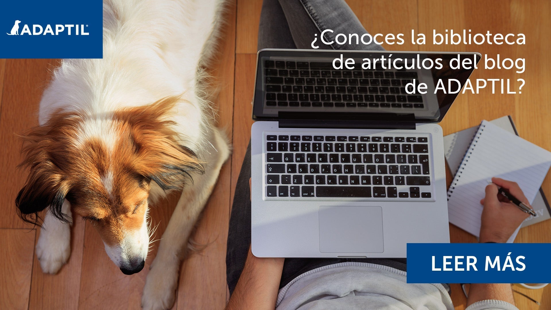 perro tumbado con ordenador al lado