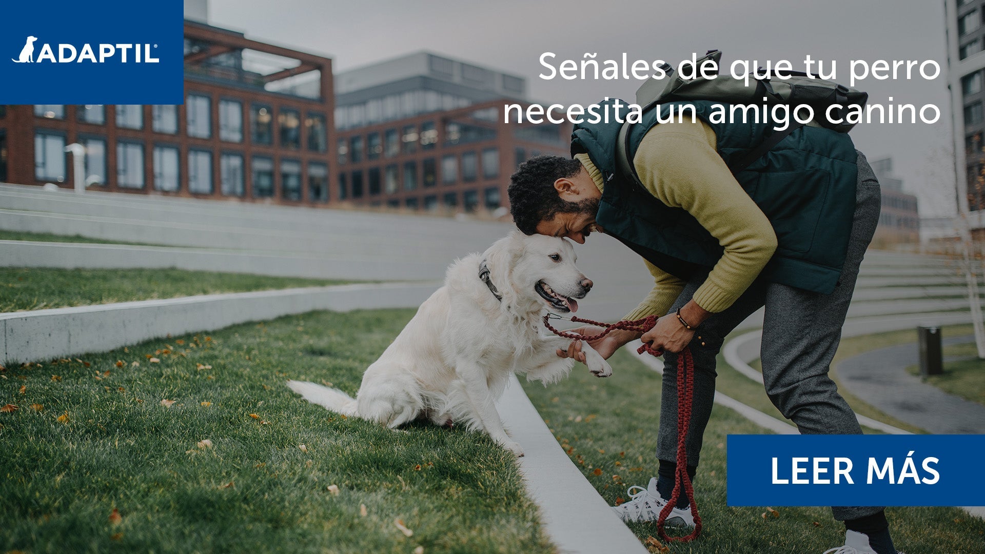 humano y perro con las cabezas juntas