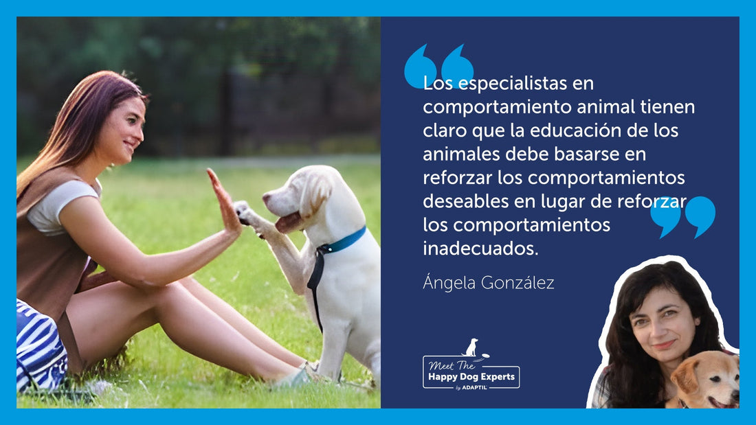 Perro y chica chocando la mano.