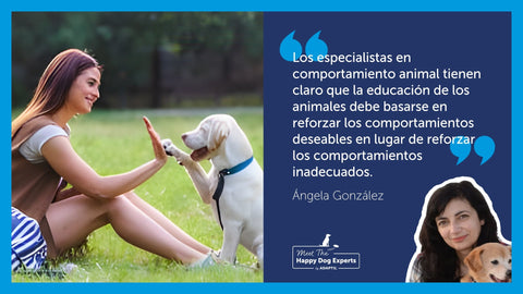 Perro y chica chocando la mano.