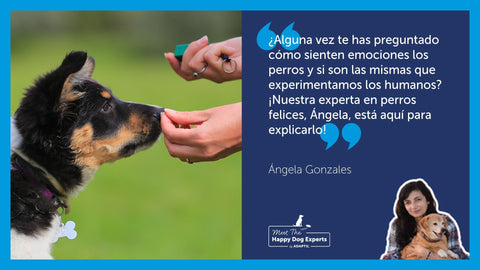 cachorro oliendo una chuche