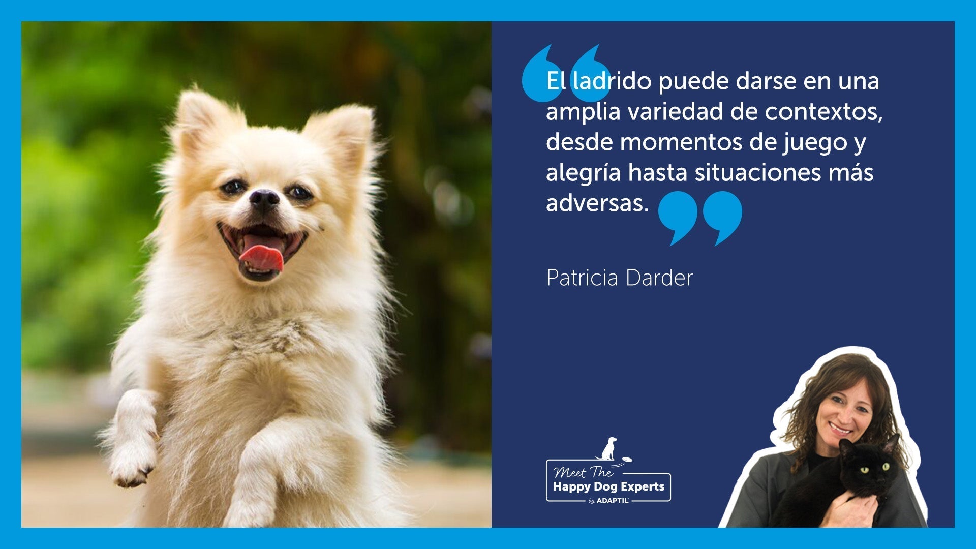 Perro pequeño y feliz de pie sobre sus patas traseras al aire libre.