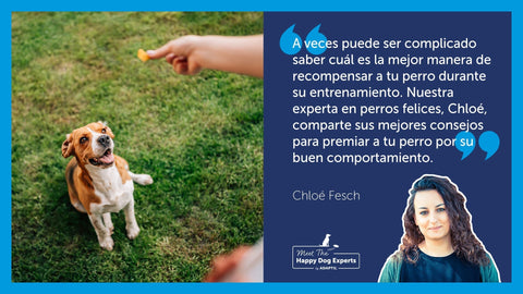 Perro sentado en el exterior esperando su recompensa