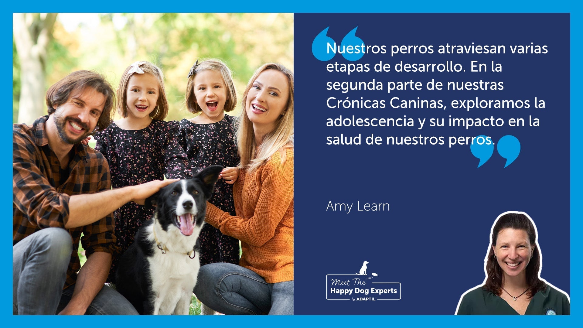Experto en Perros Felices: Crónicas caninas parte 2 – De la adolescencia a la madurez | Happy Dog Expert