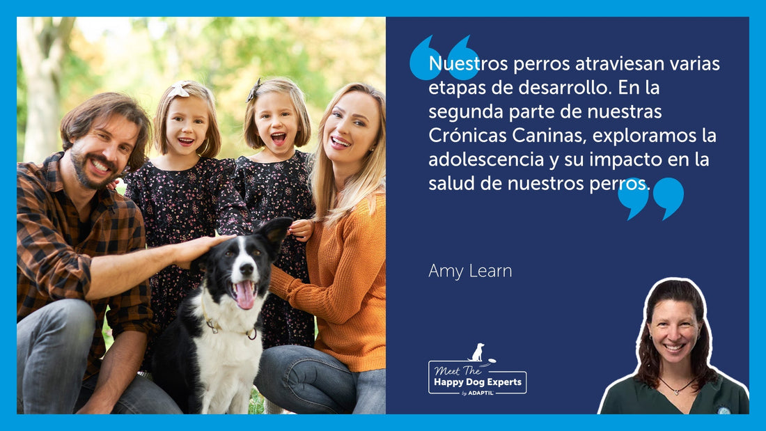 Experto en Perros Felices: Crónicas caninas parte 2 – De la adolescencia a la madurez | Happy Dog Expert