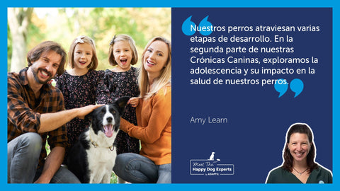 Experto en Perros Felices: Crónicas caninas parte 2 – De la adolescencia a la madurez | Happy Dog Expert