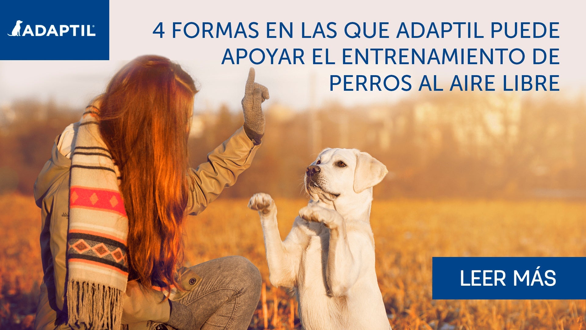 4 formas en que ADAPTIL puede ayudarte con el entrenamiento exterior de tu perro