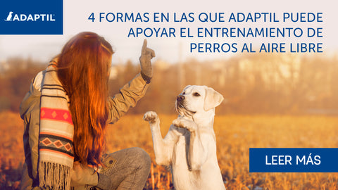 4 formas en que ADAPTIL puede ayudarte con el entrenamiento exterior de tu perro