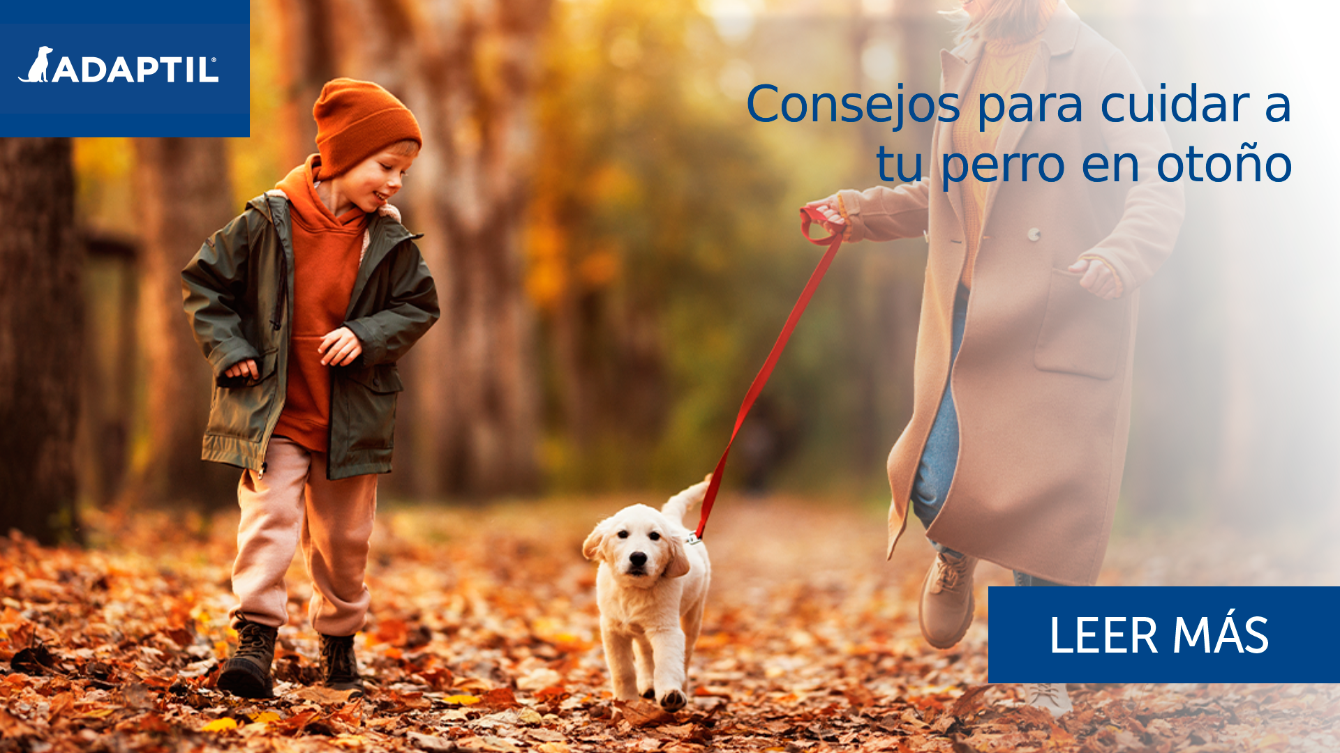 Consejos para cuidar a tu perro en otoño
