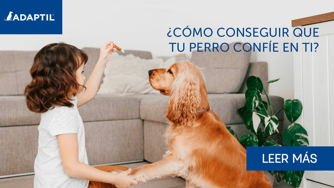 niña jugando con un perro en casa