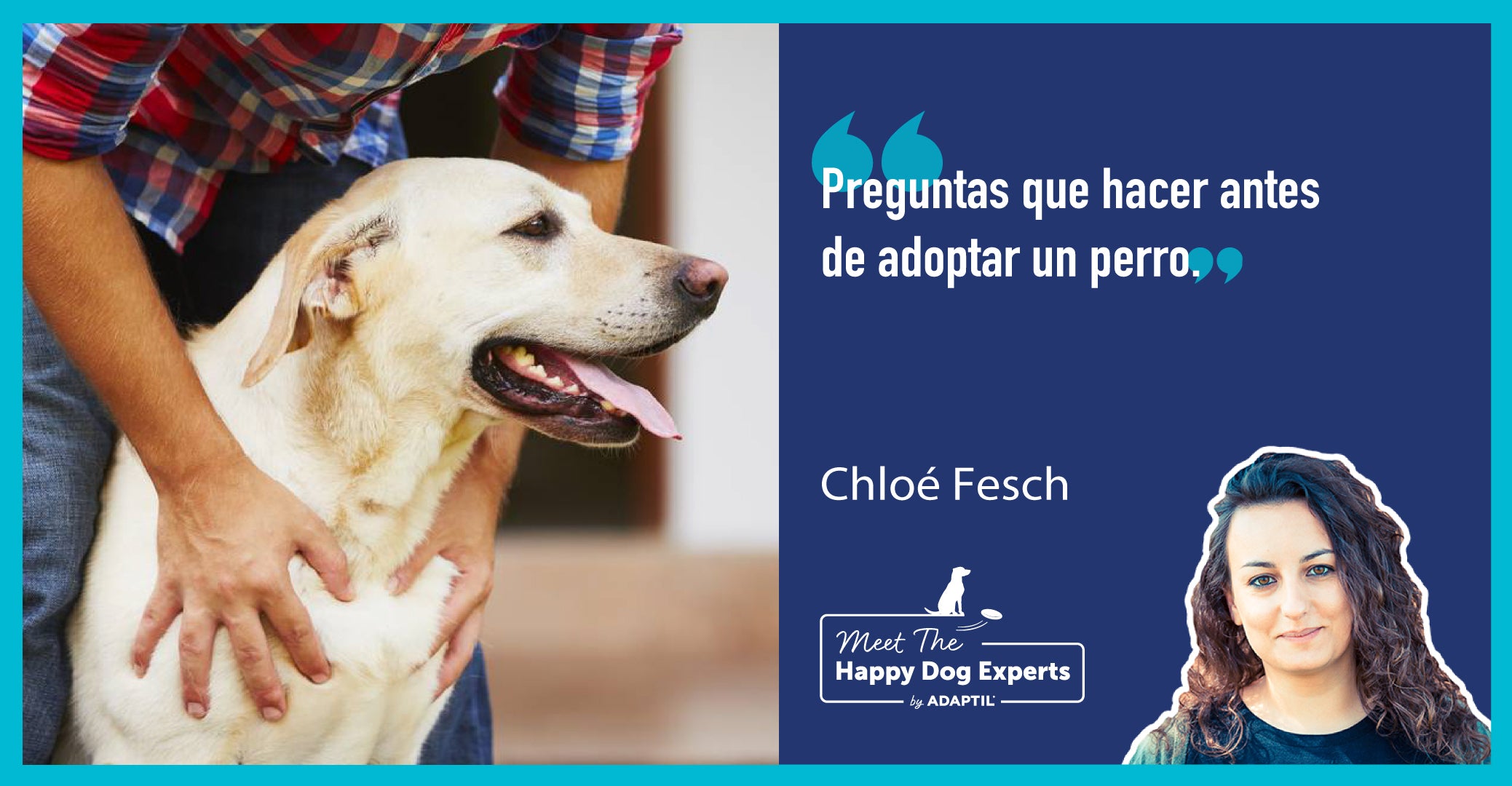 Preguntas que debes plantearte antes de adoptar un perro | Happy Dog Expert