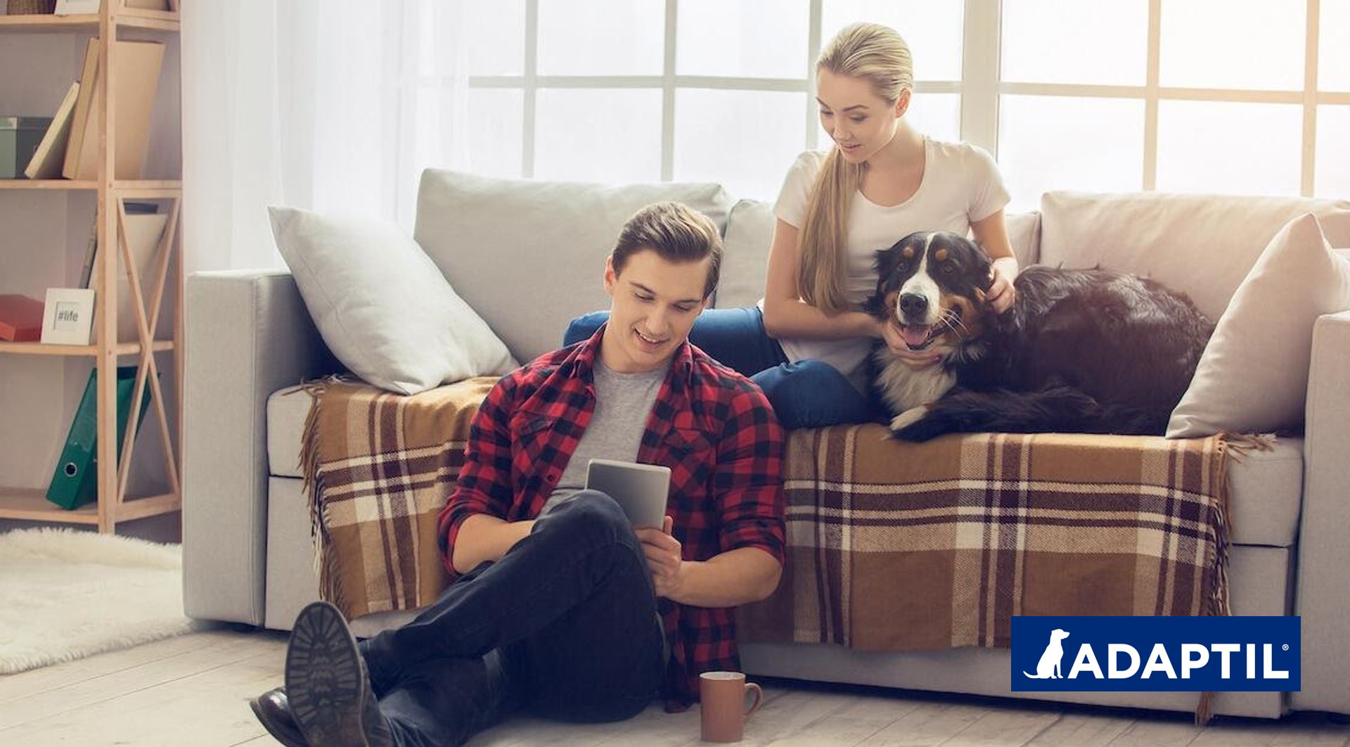 13 Ideas para crear un hogar Dog Friendly