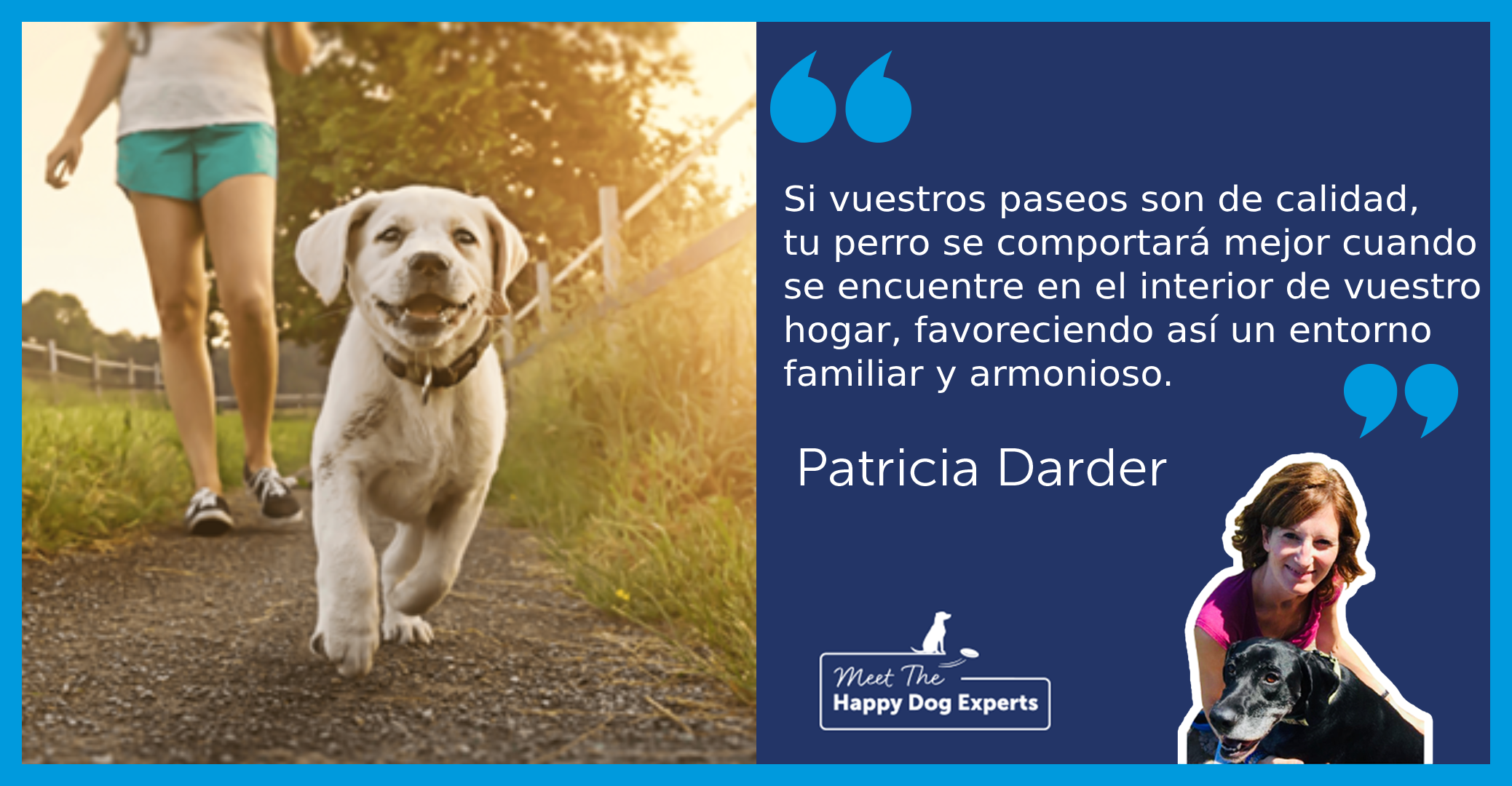 Beneficios de los paseos con tu perro | Happy Dog Expert