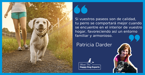 Beneficios de los paseos con tu perro | Happy Dog Expert
