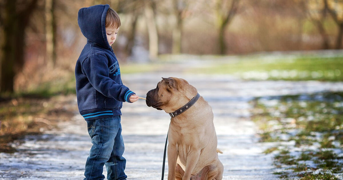 niño de pie y perro sentado a su lado en un camino